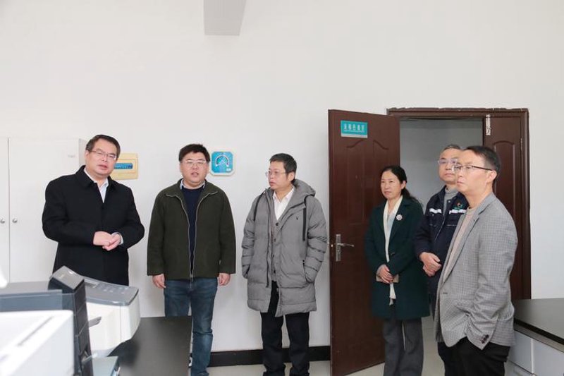 开发小程序：定制化与便捷性的完美结合